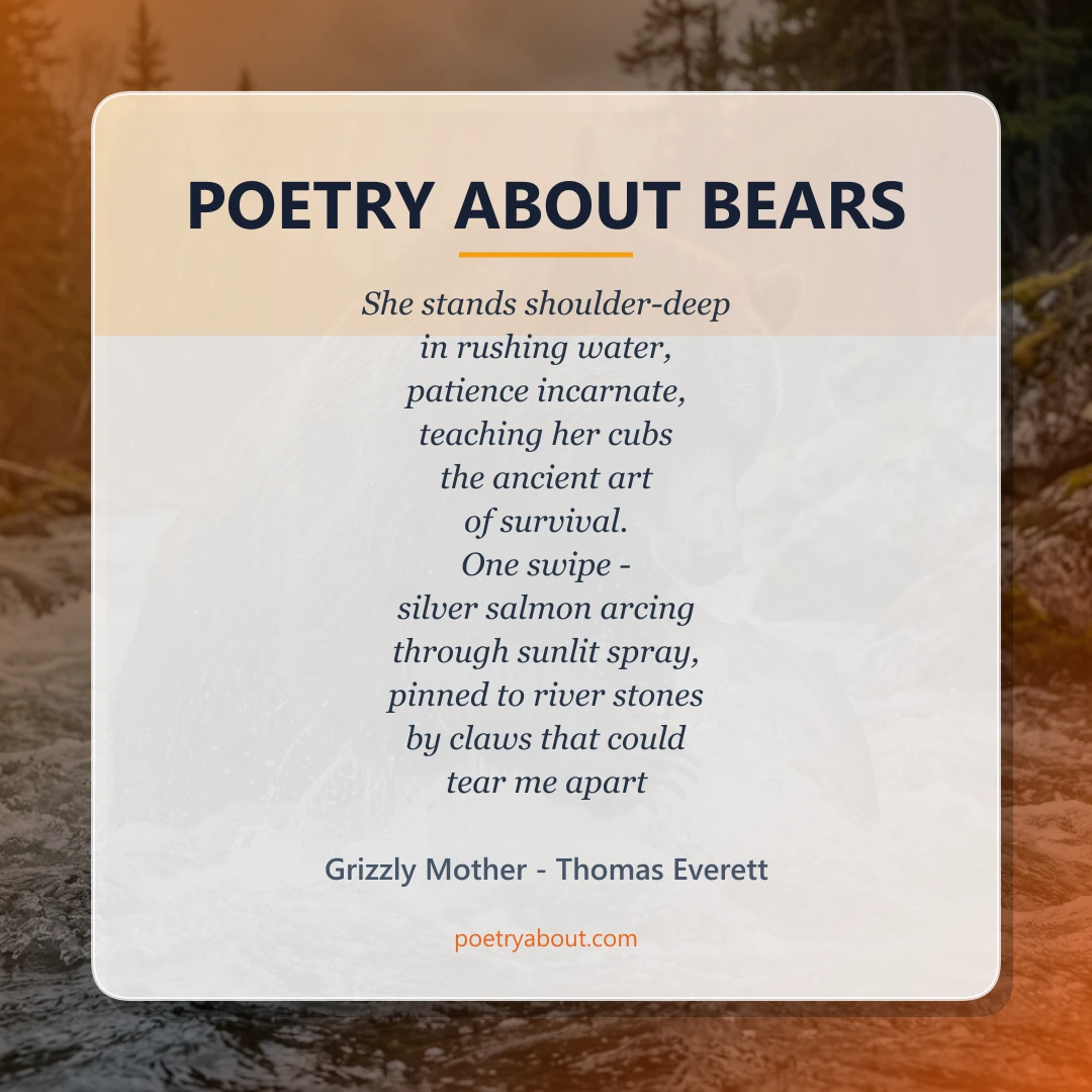 Poetry about Poetry About Bears - Social Card