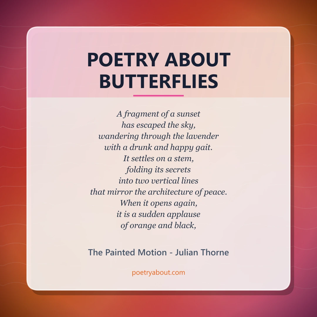 Poetry about Poetry About Butterflies - Social Card