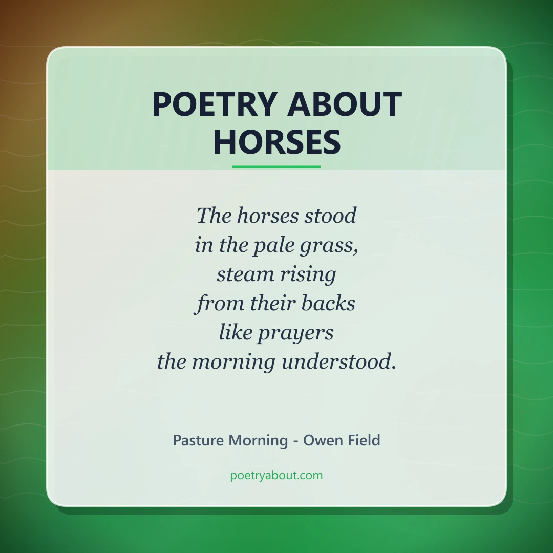 Poetry about Poetry About Horses - Social Card