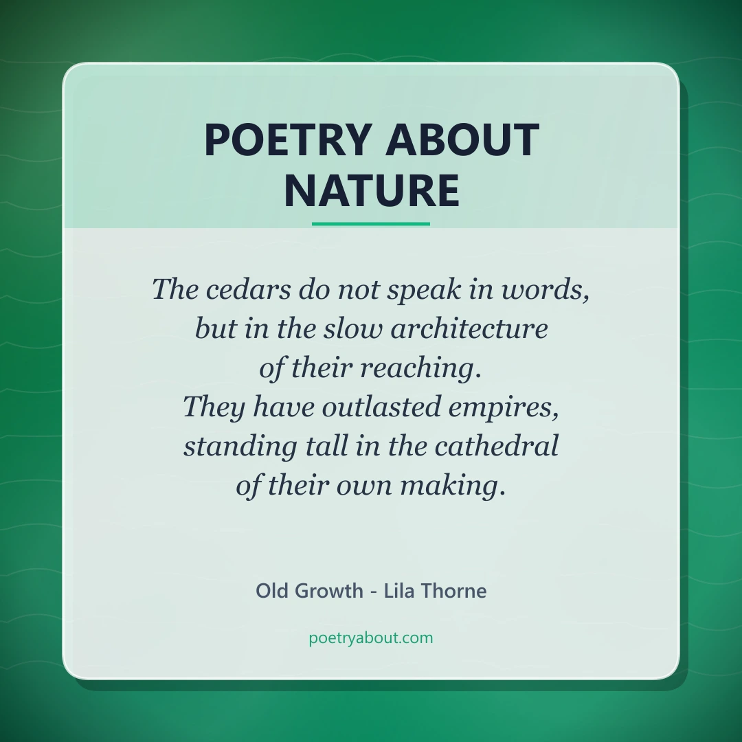 Poetry about Poetry About Nature - Social Card