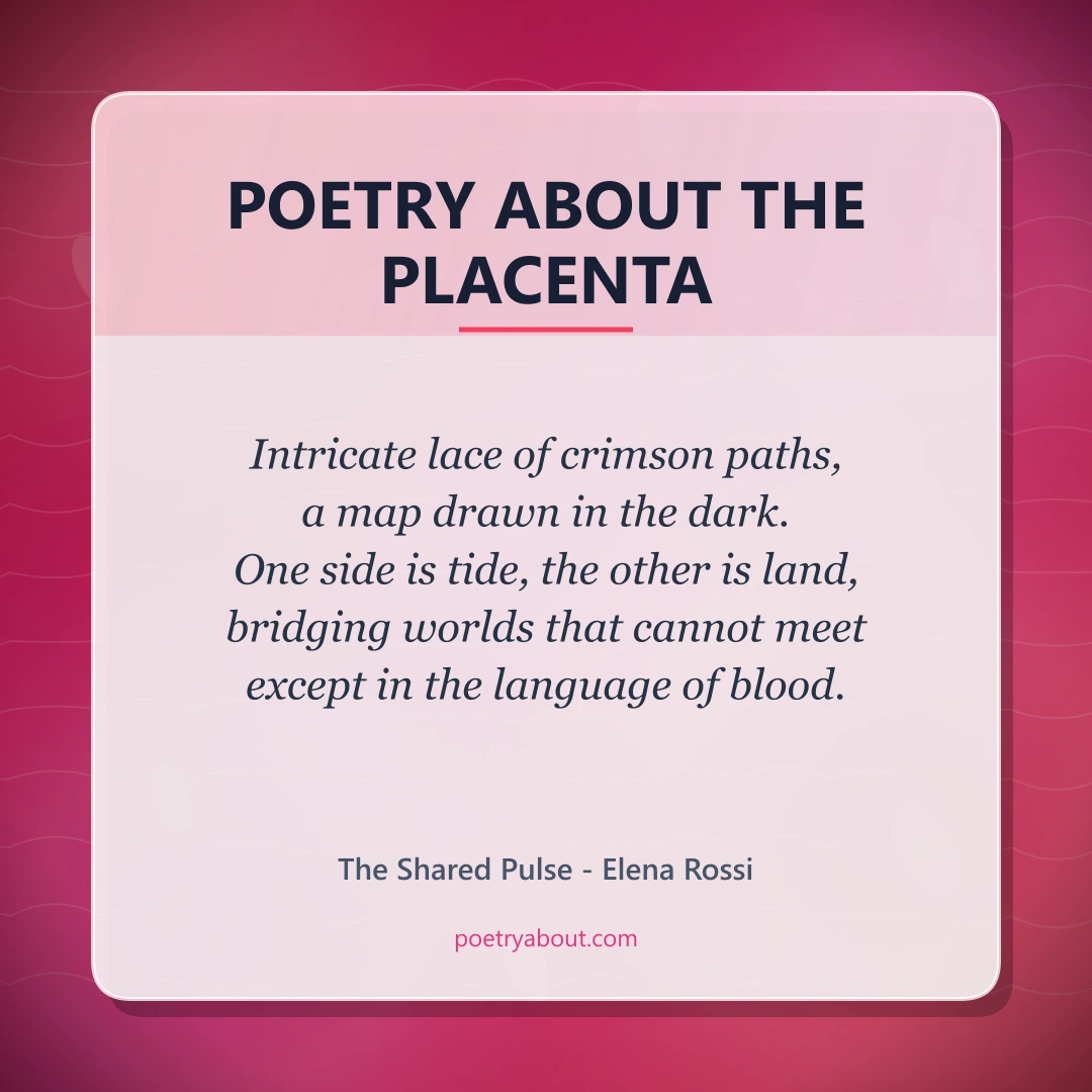 Poetry about Poetry About the Placenta - Social Card