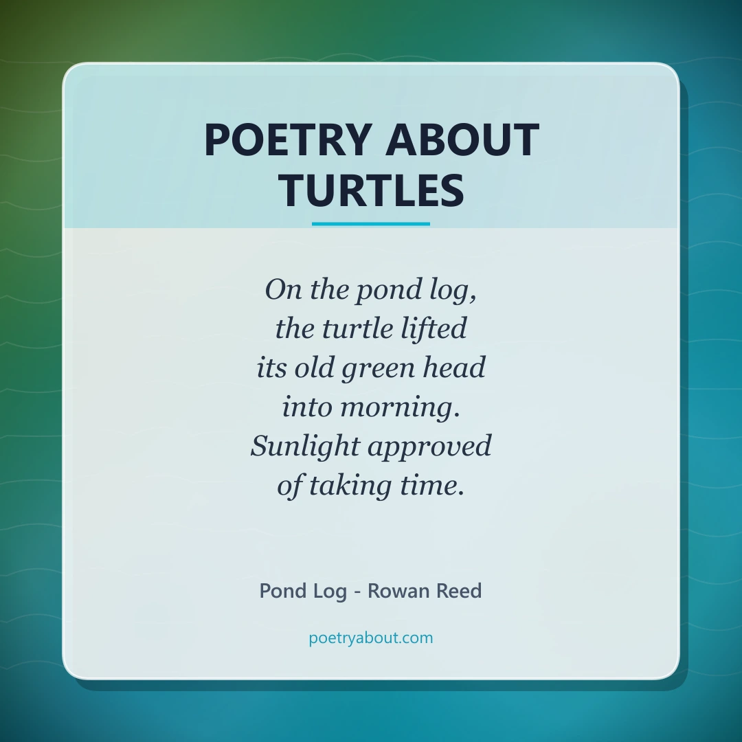 Poetry about Poetry About Turtles - Social Card